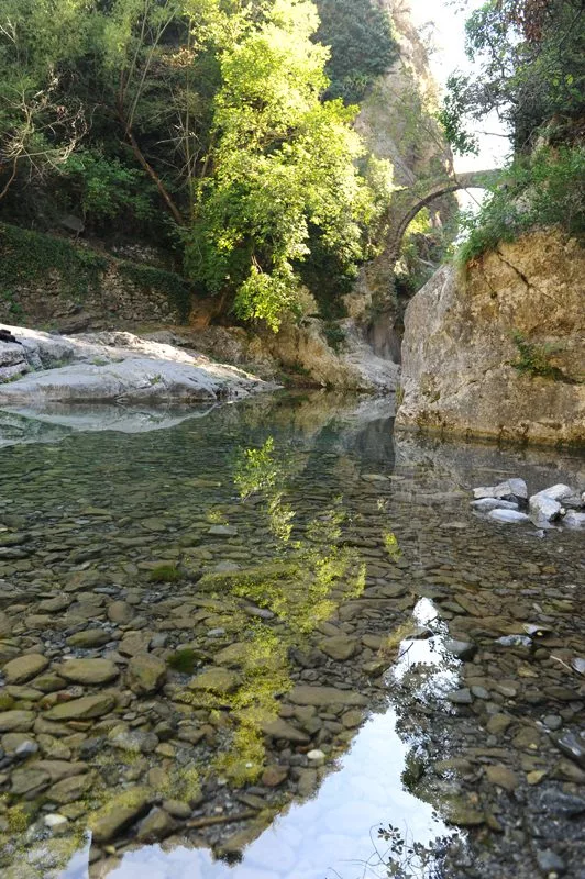 Bain du Sémite