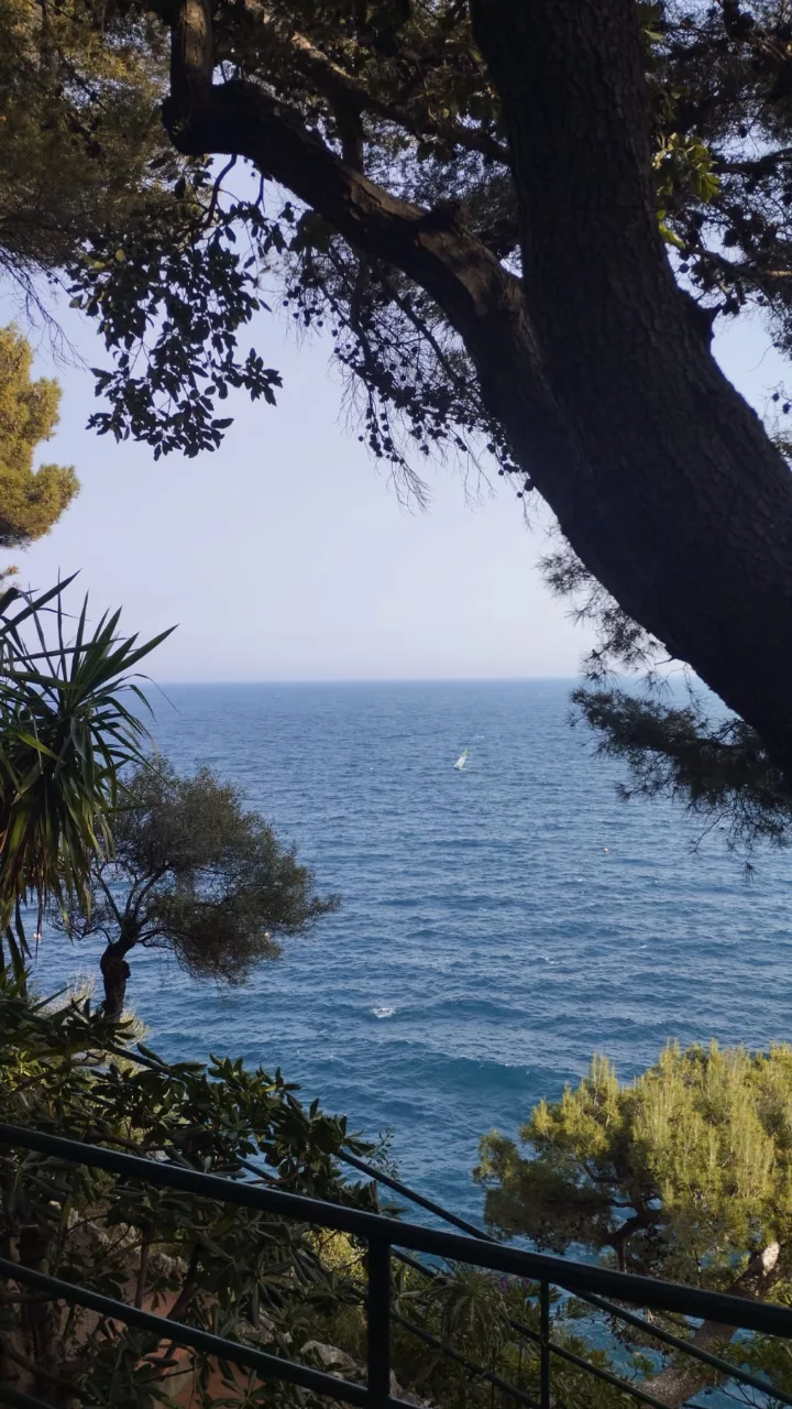 Jardin Saint Martin